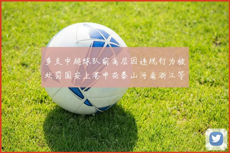 多支中超球队前高层因违规行为被处罚国安上港申花泰山河南浙江等队受影响