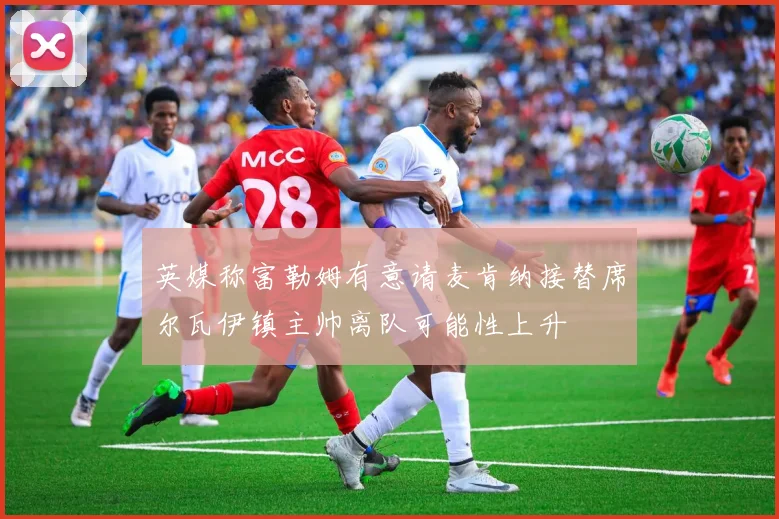 英媒称富勒姆有意请麦肯纳接替席尔瓦伊镇主帅离队可能性上升